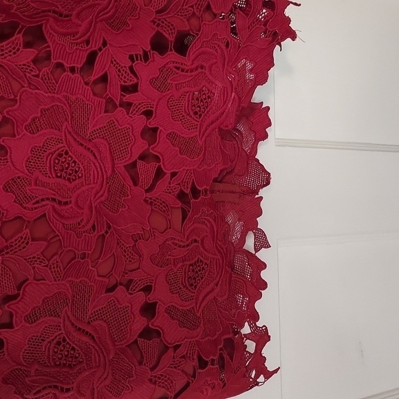 Saylor Crista Red Lace Dress - Picture 10 of 12